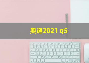 奥迪2021 q5